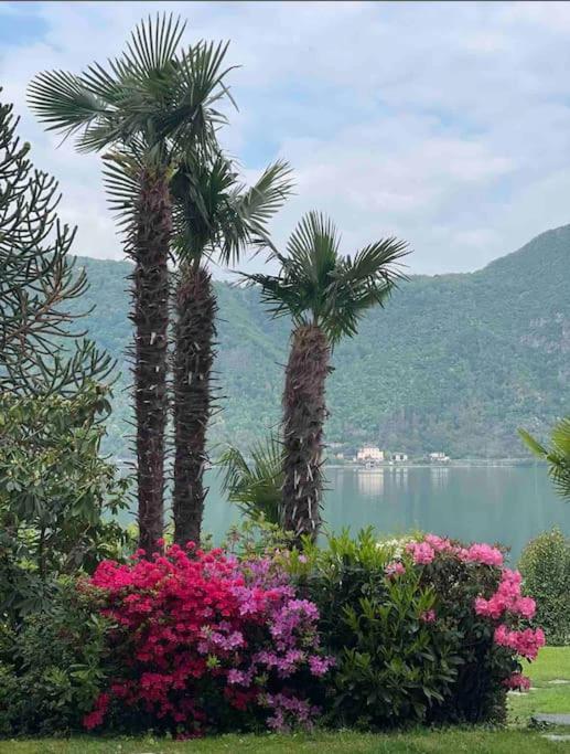 Appartamento Con Piscina E Sauna Bissone Dış mekan fotoğraf